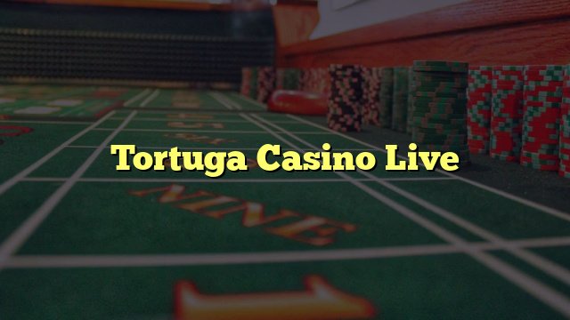 Un aperçu de tortuga casino bonus