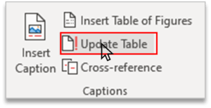 Update Table in Caption Group