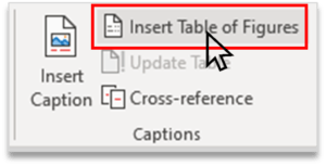 Insert Table of Figures in Caption Group