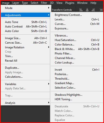 Adjustments Option 
