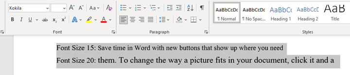 Selected Text For Font Sizing