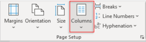 Column in Page Setup