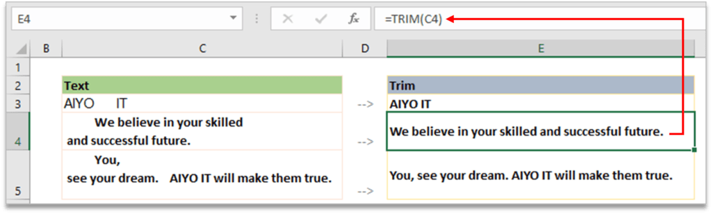 TRIM in Excel