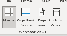 Workbook Views in View Tab