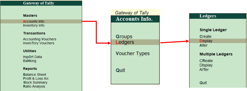 In Tally Display Ledger