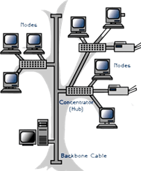 Tree Topology